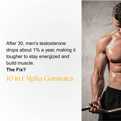 Alpha Testosterone Gummies